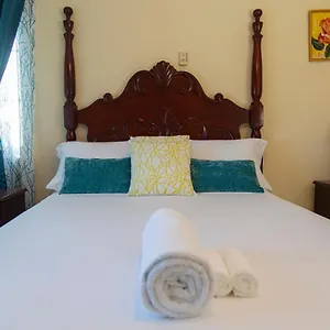  Apartment Heart-of-the-city With The Amenities Of Jamaica